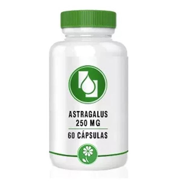 Astragalus extrato 70% 250mg 60 cápsulas
