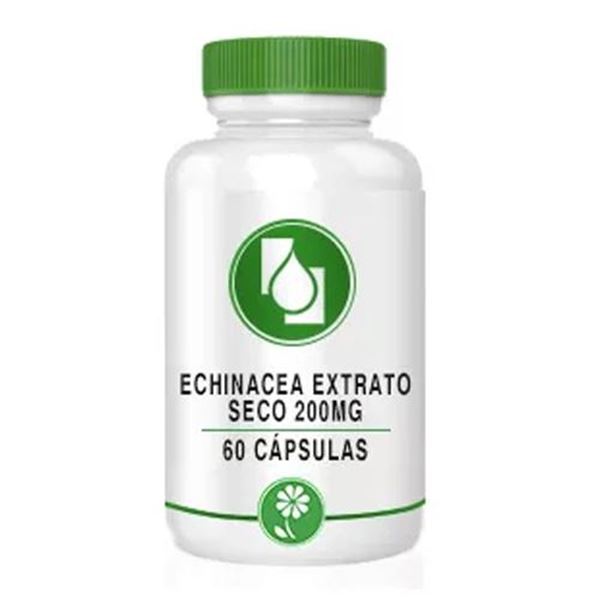 Echinacea Extrato seco 200mg 60 cápsulas