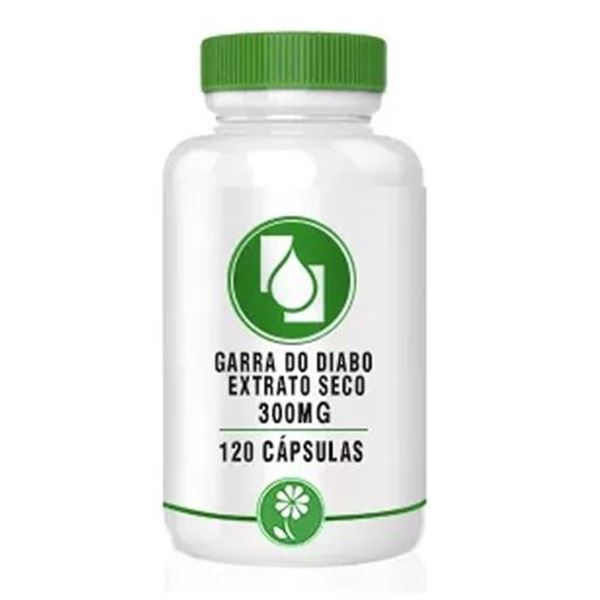 Garra do Diabo Ext Seco 300mg 120 cápsulas
