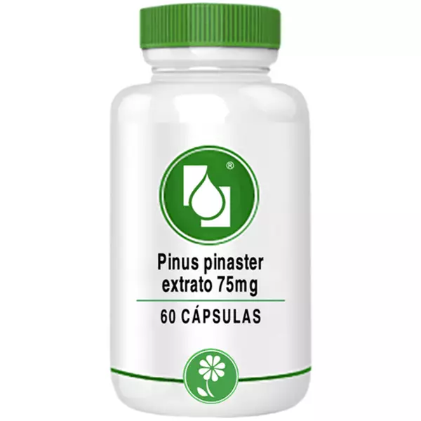 Pinus pinaster extrato 75mg 60 cápsulas