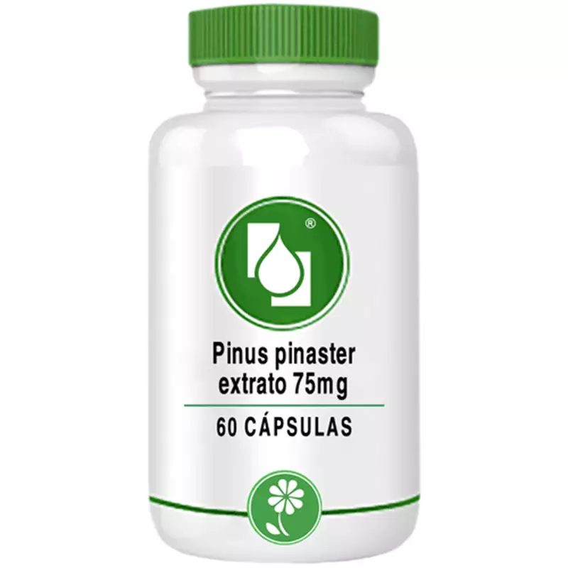 Pinus pinaster extrato 75mg 60 cápsulas